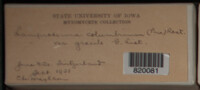 Image Associated With the Occurence